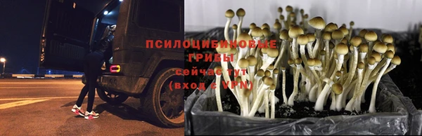 гидропоника Горно-Алтайск