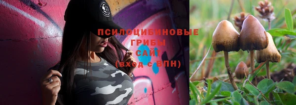 гидропоника Горно-Алтайск