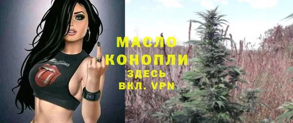 стаф Гусь-Хрустальный
