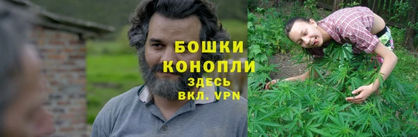 MESCALINE Горняк