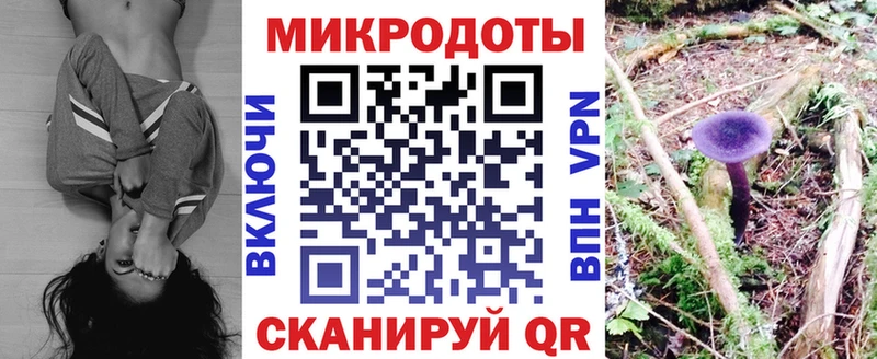 Псилоцибиновые грибы Magic Shrooms  Купить  Краснослободск 